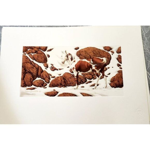 Bev Doolittle Hide and Seek Suite 6 Print Portfolio Book 10,294 Horses Western L - Picture 9 of 13